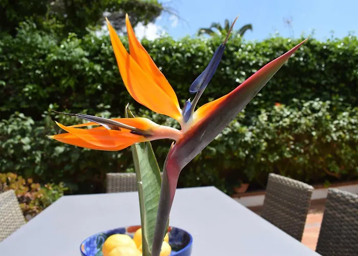 Boutique Villa Pedro strandnah ruhig zentral Can Pastilla 