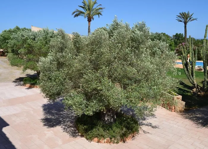 Privates Agroturismo Finca Son Sala Campos 